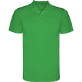 POLO ROLY MONZHA VERT